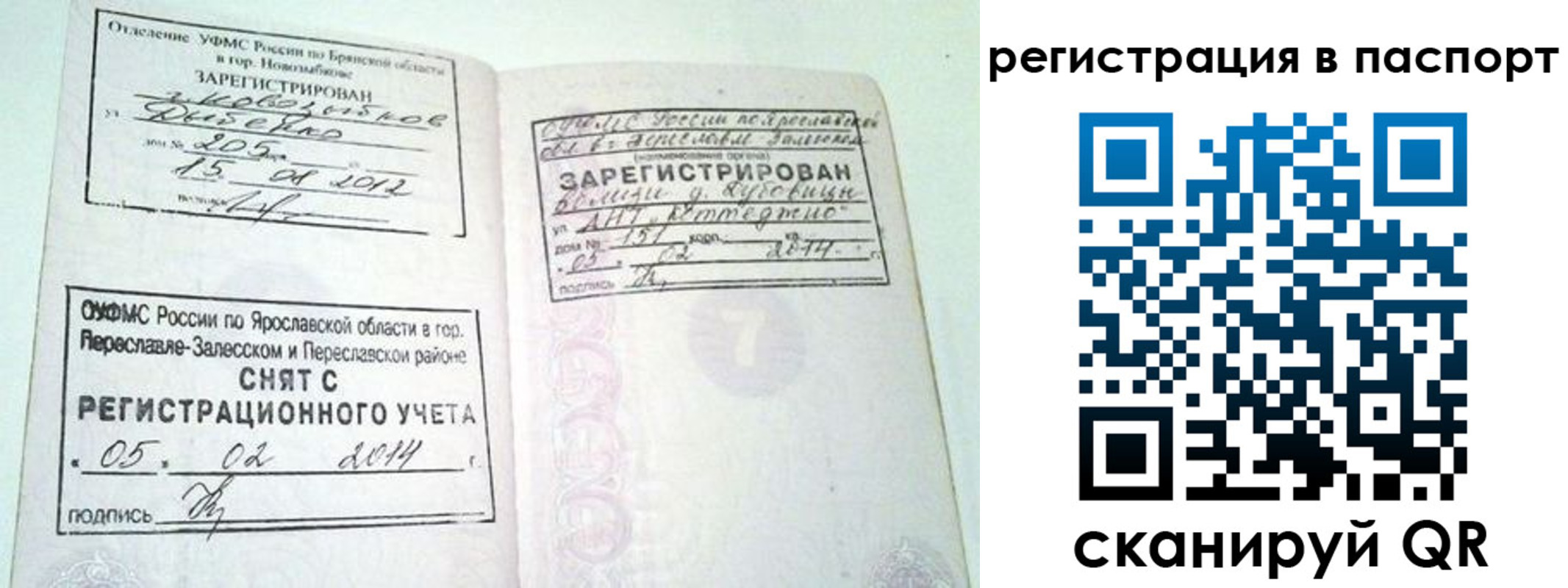 прописка в квартире в Белгороде